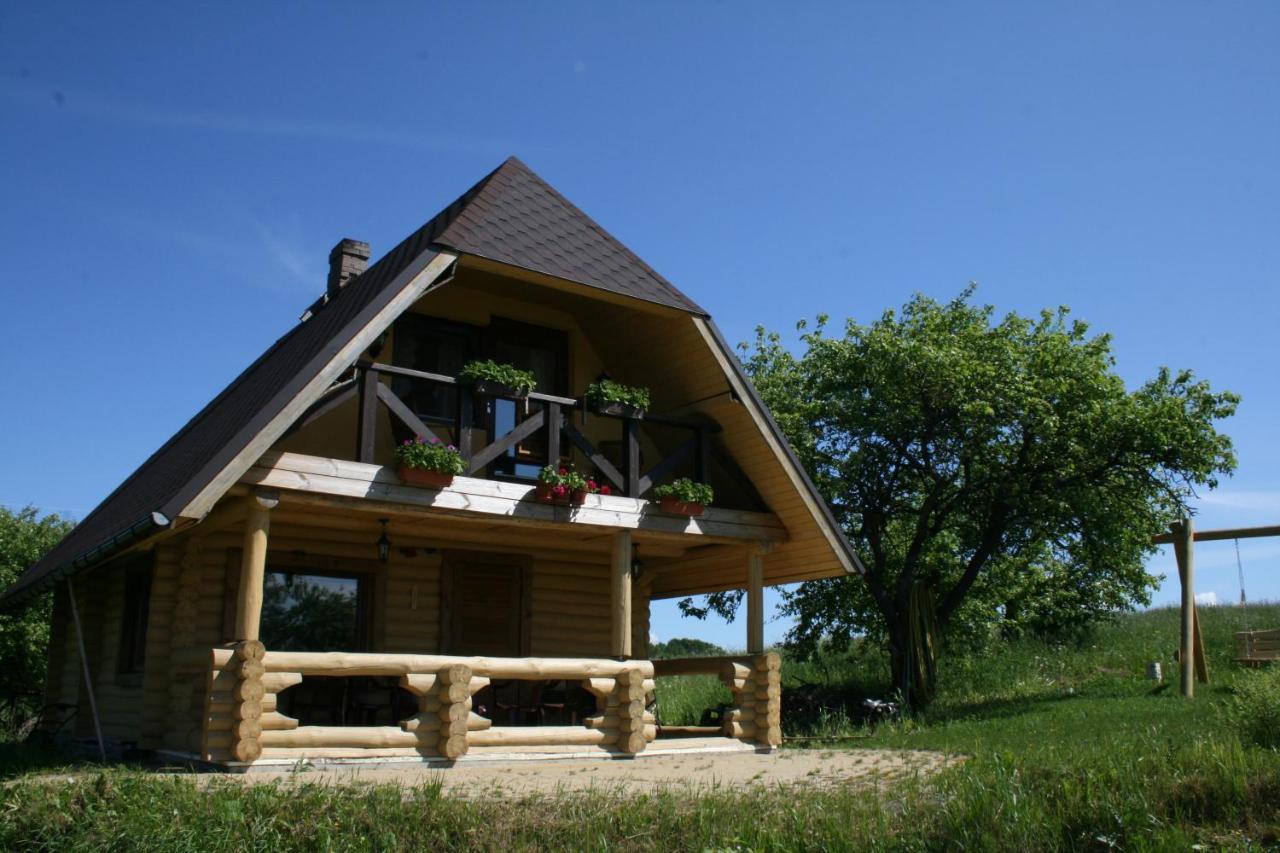 Dikisi Villa Daugavpils Exterior photo