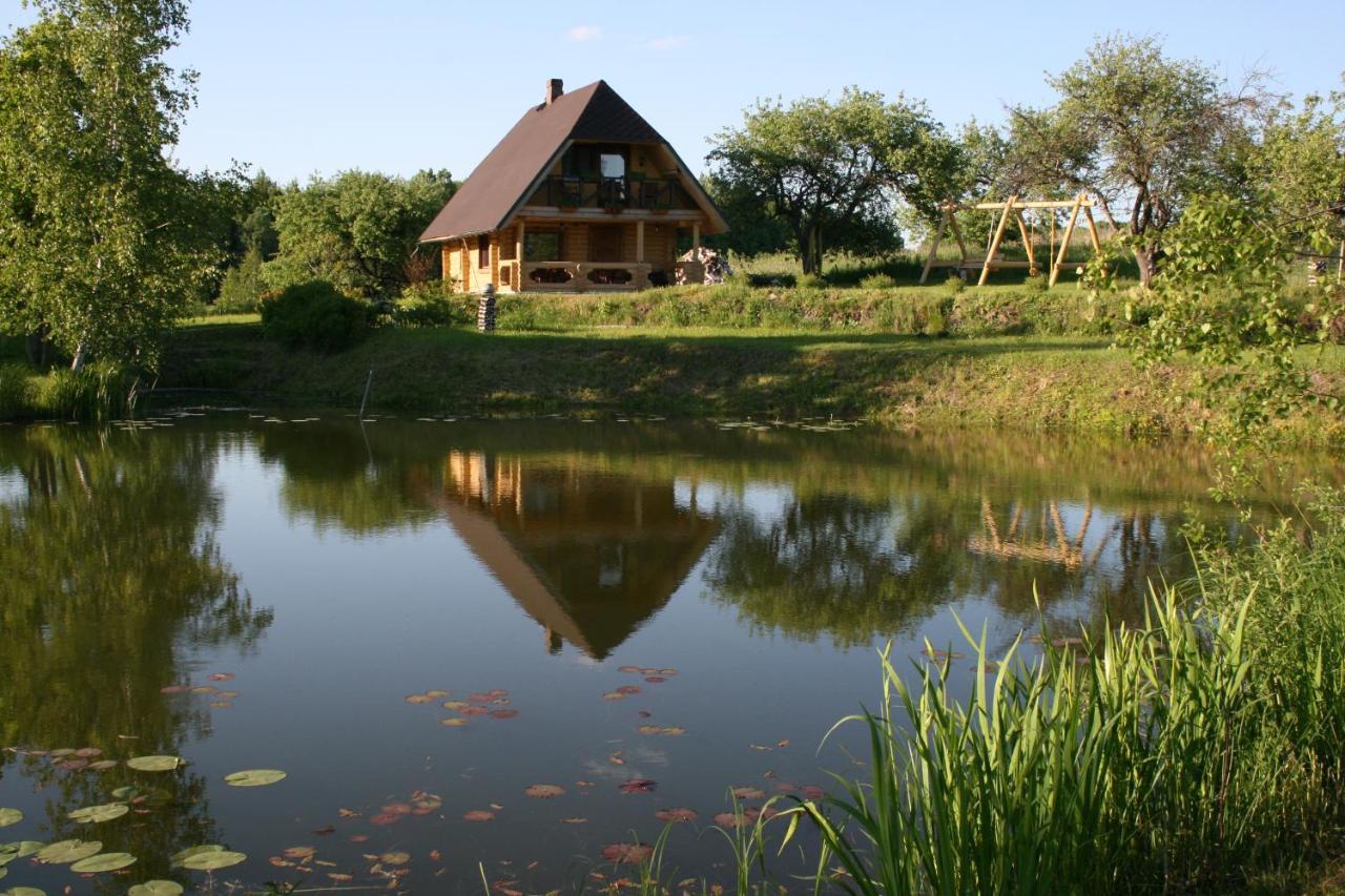 Dikisi Villa Daugavpils Exterior photo